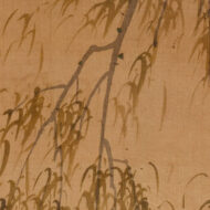 “Crested Myna on a Willow”