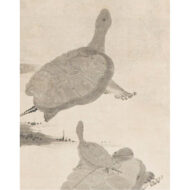 “Crane and Tortoises”