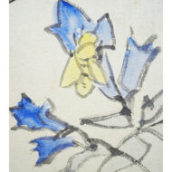 “Gentian  and  bee”