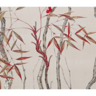 “Heavenly Bamboo”