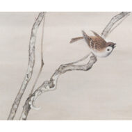“Heavenly Bamboo”