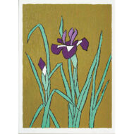 “Iris”