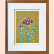 “Iris”