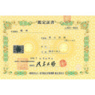 “A Day Reflected”