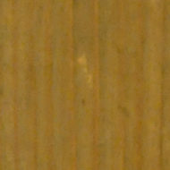 “Plum Blossoms in Ink