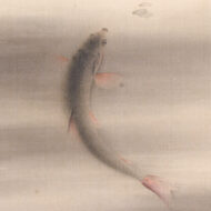 Hayami Gyoshū“Dace”0