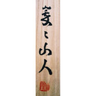 “Looking at the Moon in the Yard”