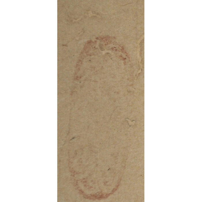 白隠慧鶴「嶮崖對坐佛」3