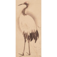 “Cranes and Turtles”