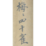 “Japanese Tit on a Plum Tree”