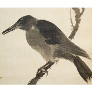 ”Chinese Magpie”