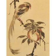 “Peach and Ribbon-Tailed Bird”