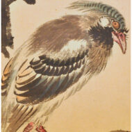 “Peach and Ribbon-Tailed Bird”