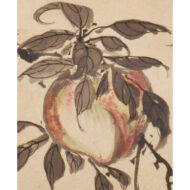 “Peach and Ribbon-Tailed Bird”