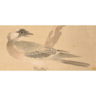 “Flowers and Birds”