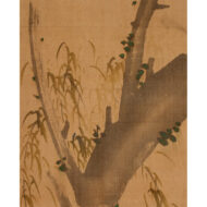 “Crested Myna on a Willow”