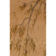 “Crested Myna on a Willow”