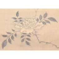 “Nightingale on a Plum Tree”