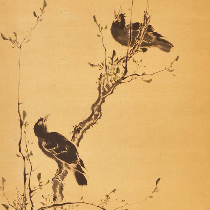 森蘭斎「叭々鳥図」0