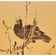 “Two Crested Mynas”