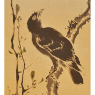 “Two Crested Mynas”