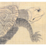 “Turtles at Play”