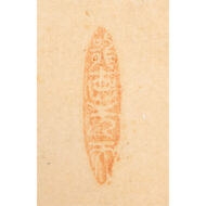 “Straw Rain Cape and Hat”