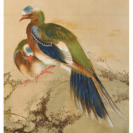 “Willow with White-headed Bulbul and Peach with Golden Dove”
