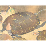 “One Hundred Cranes and Tortoises”