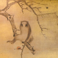 長沢芦雪（長澤蘆雪）「群猿図屏風」0