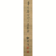 “Crested Myna on a Tree”