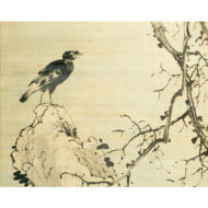 “Crested Myna on a Tree”