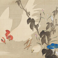 長沢芦雪（長澤蘆雪）「朝顔白鶏図」0