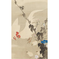 “White Rooster with Morning Glories”