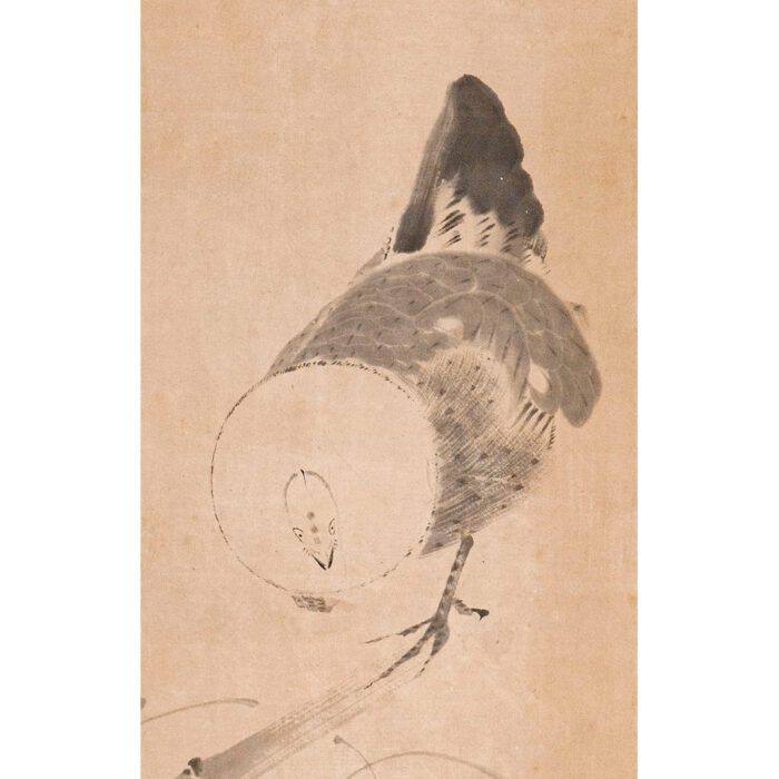 伊藤若冲「藤に鶏図-2」4