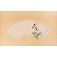 “Cuckoo in flight”