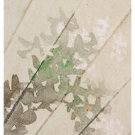 “Cuckoo in flight”