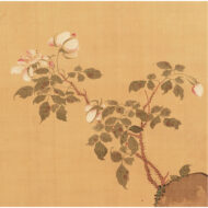 ”Roses and a Rooster”