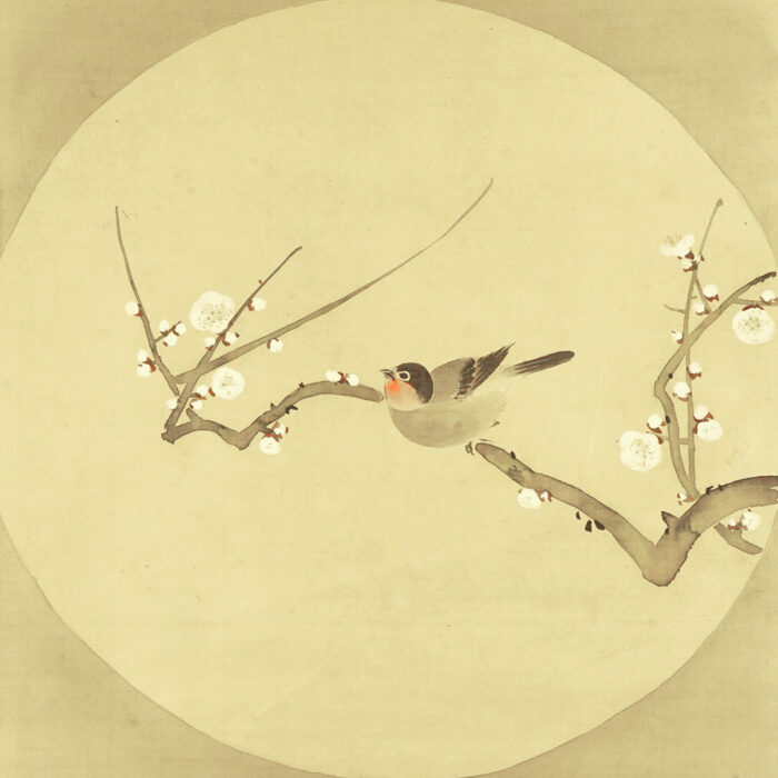 酒井抱一「梅に小禽図」0