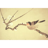 “A little bird on a plum tree”
