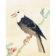 “Rose with a Small Bird”