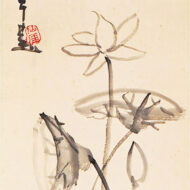 Sengai Gibon“Lotus”0