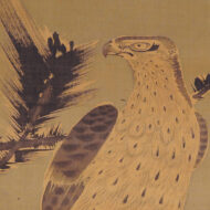 伊藤若冲「松鷹図」0