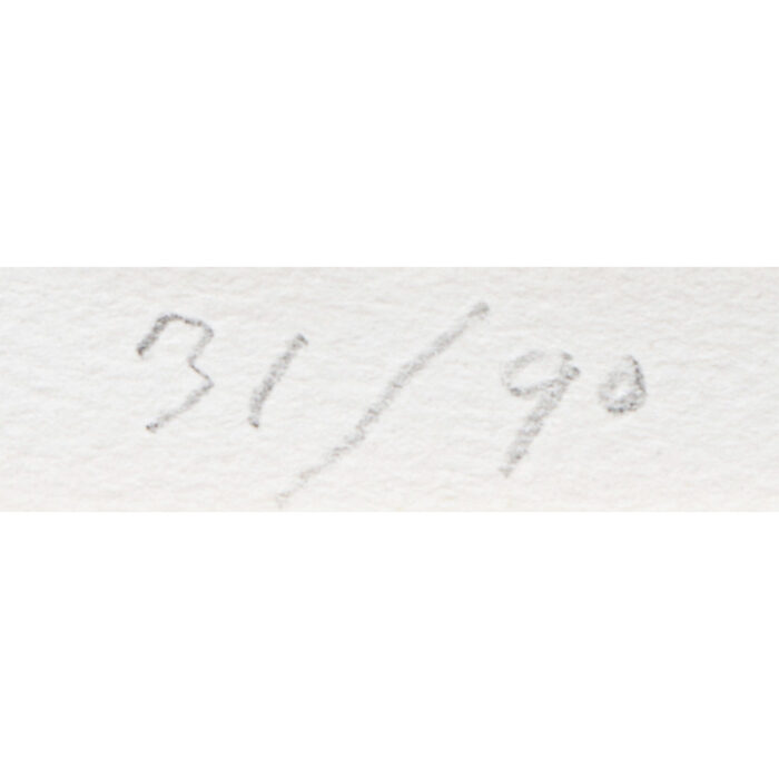 熊谷守一「あやめ」3