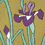 “Iris”