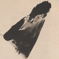 Itō Jakuchū"Myna Bird in a Snowy Landscape"0_1
