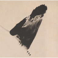 “Myna Bird in the Snow”