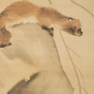 Nagasawa Rosetsu"Weasel and Wisteria"0